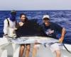 islamorada fishing sailfish charter boat.JPG